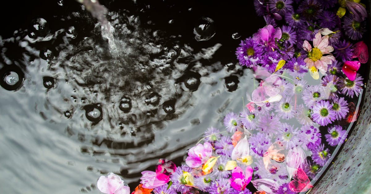 Hoe herken je een hortensia met te veel water?