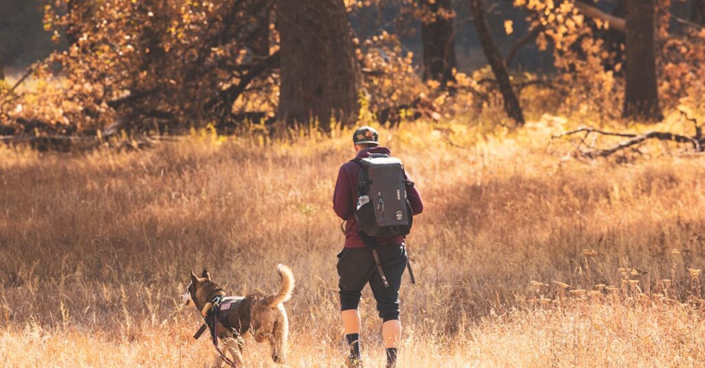 Waar kun je het beste wandelen met je hond?