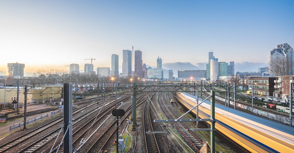 Waarom heeft Den Haag geen stadsrechten? Ontdek het hier!