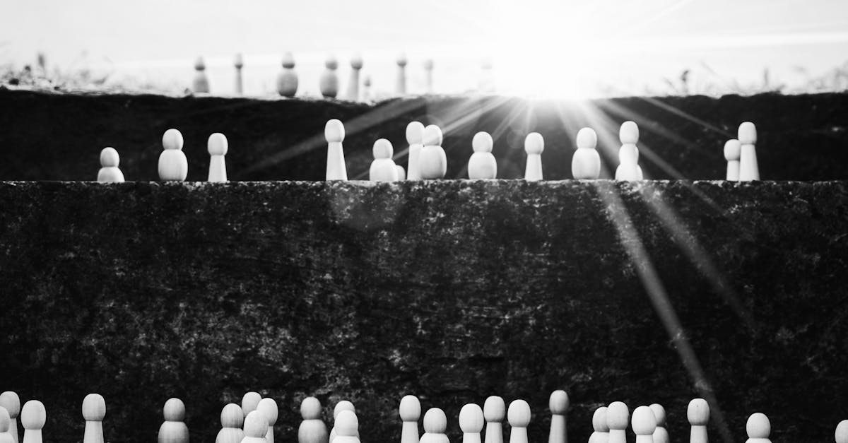 Wat is de betekenis van 'veel animo'?
