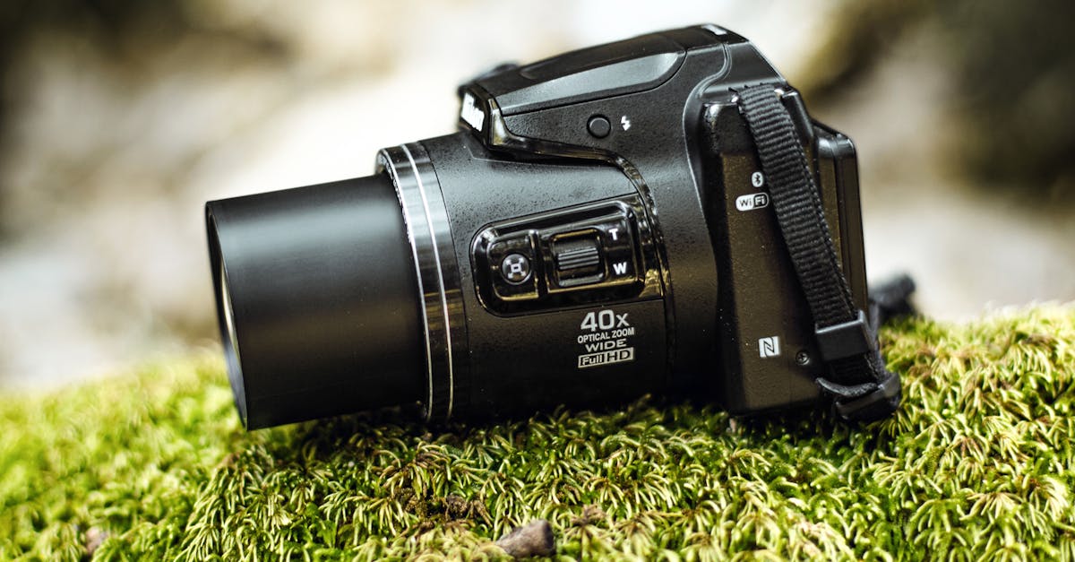 Welke compactcamera heeft de meeste zoom?