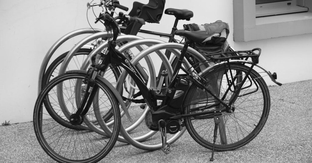 Waarom is de elektrische fiets zo populair vandaag de dag?
