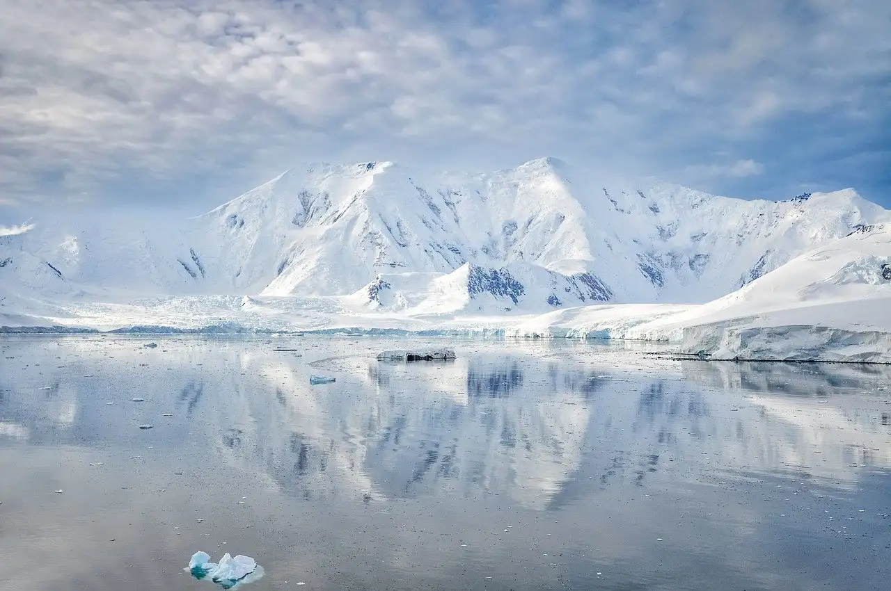 Waarom is de keizerspinguïn zo goed aangepast aan Antarctica?