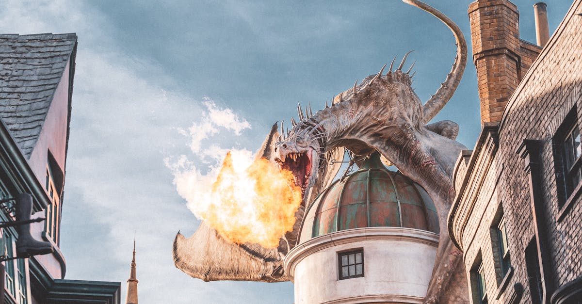 Waarom zijn de Harry Potter films zo succesvol?