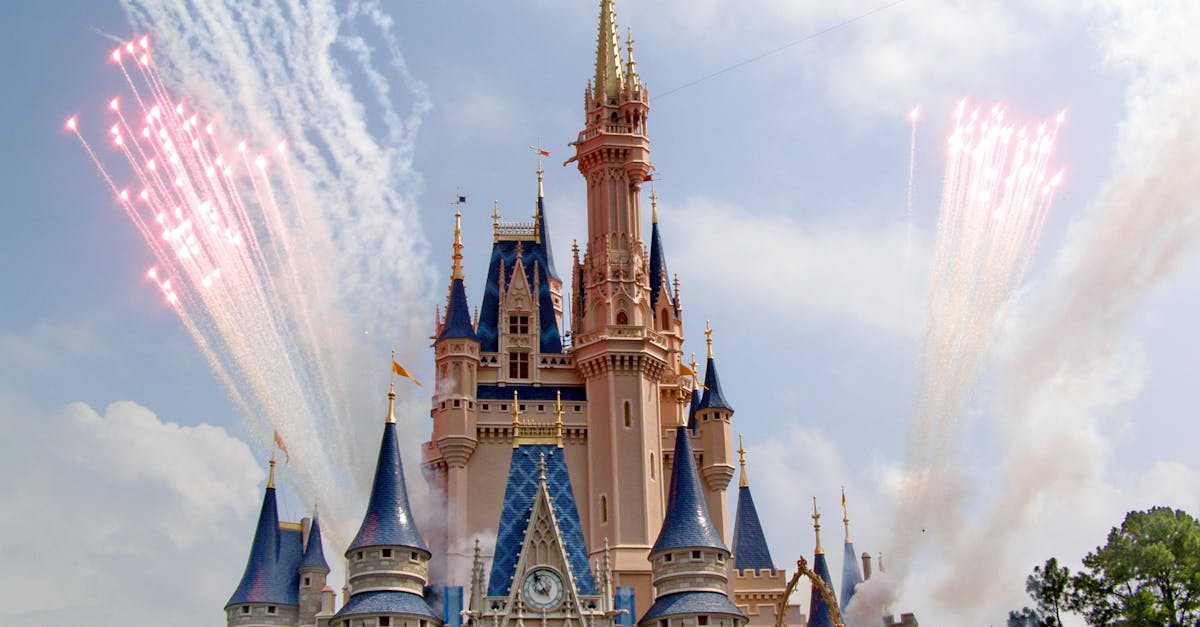 Waarom zijn Disney figuren zo populair? Ontdek het hier!