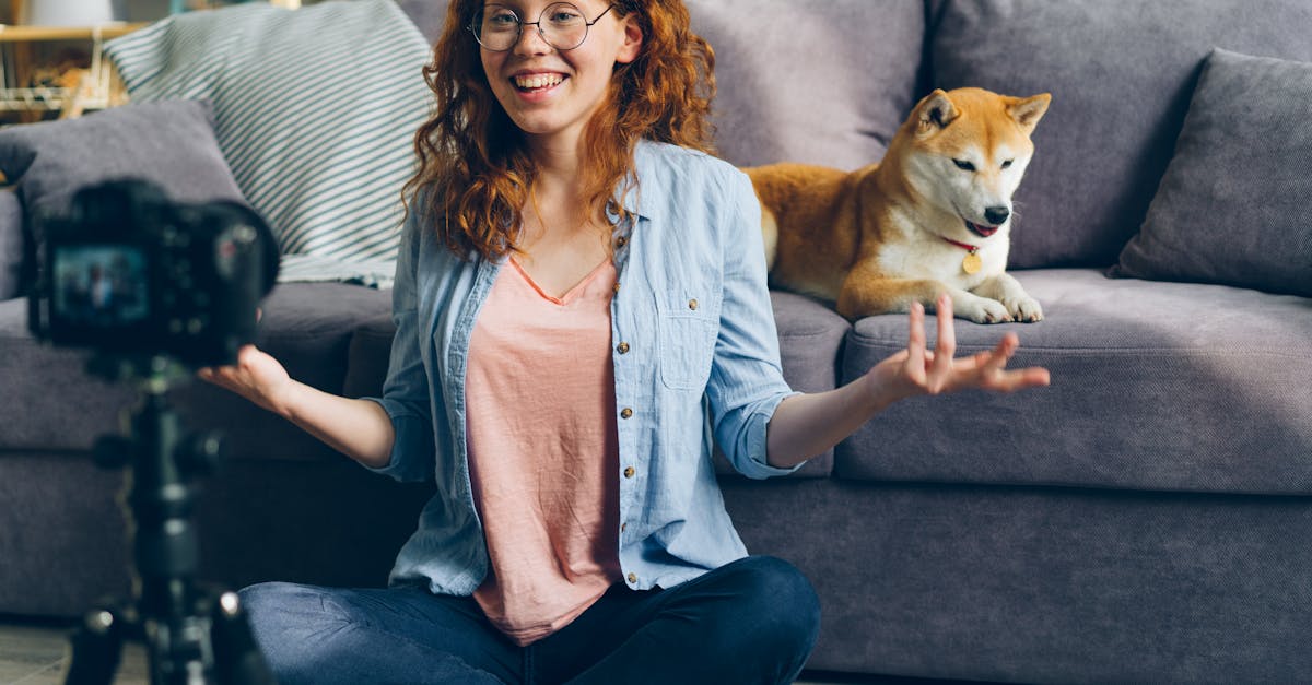 Waarom zijn kattenvideo's op YouTube zo populair?