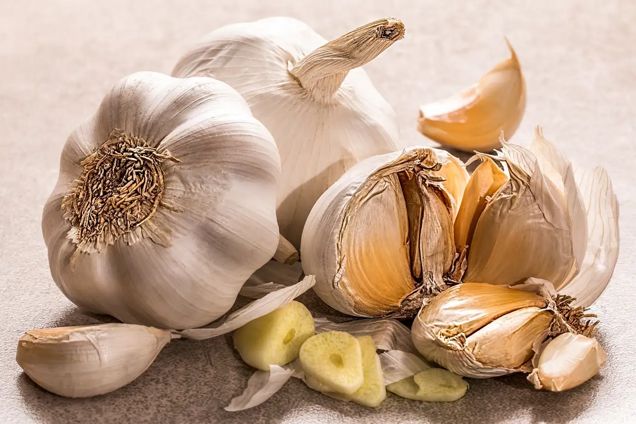 Wat doet knoflook om mieren af te weren?