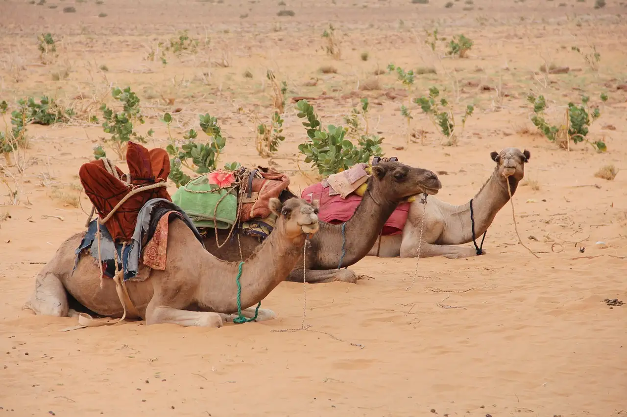 Wat is de hoofdstad van Mauritanië en waarom?