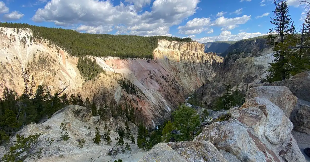 Wat is het grootste nationale park van de VS: Yellowstone?