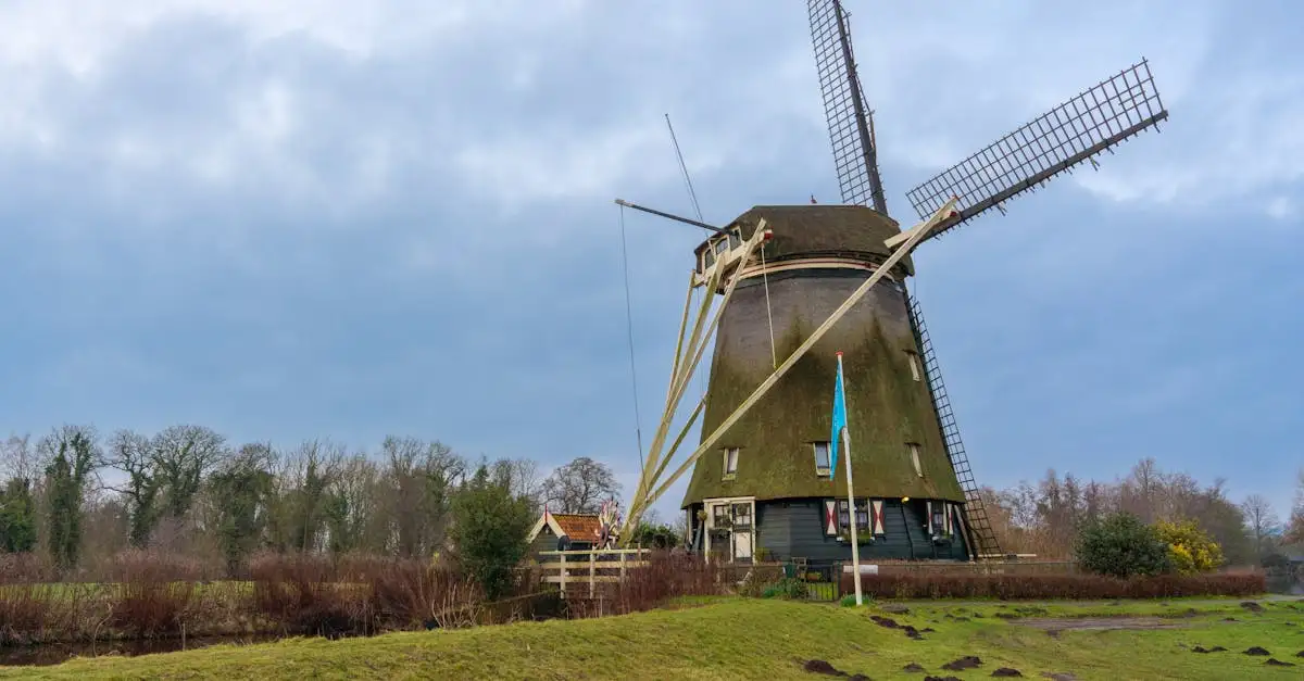 Wat is het langste erkende woord in het Nederlands?