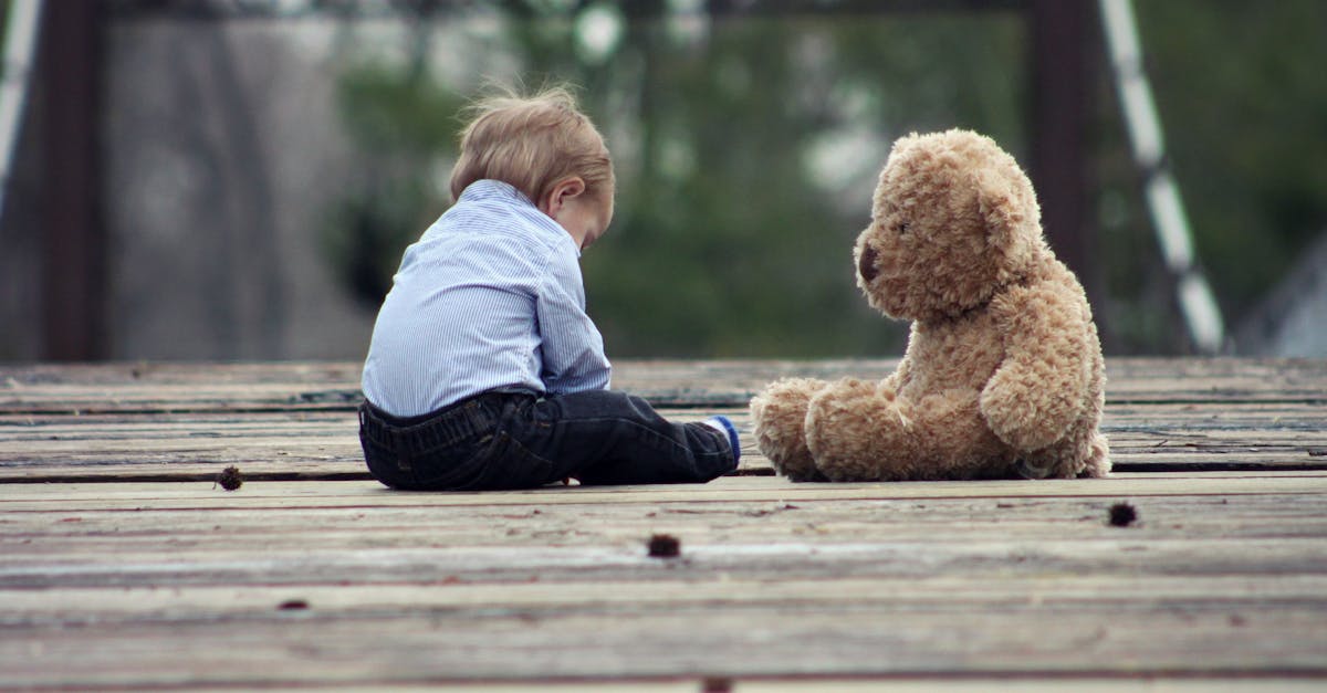 Wat is het verhaal achter de naam teddybeer?