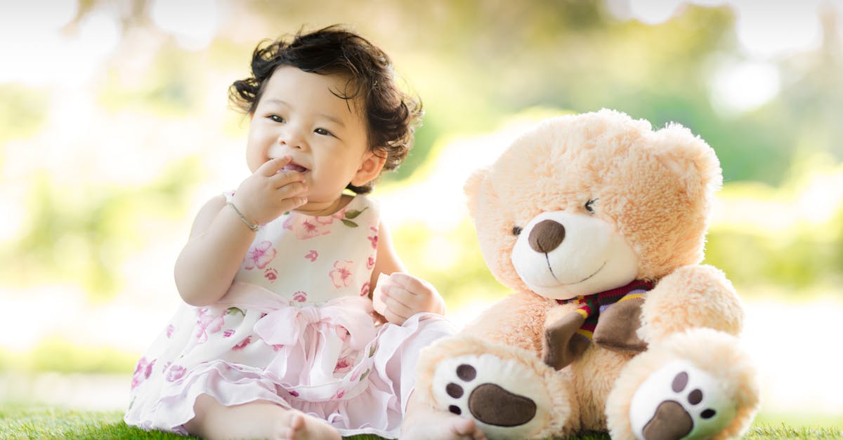 Wat is het verhaal achter de naam teddybeer?