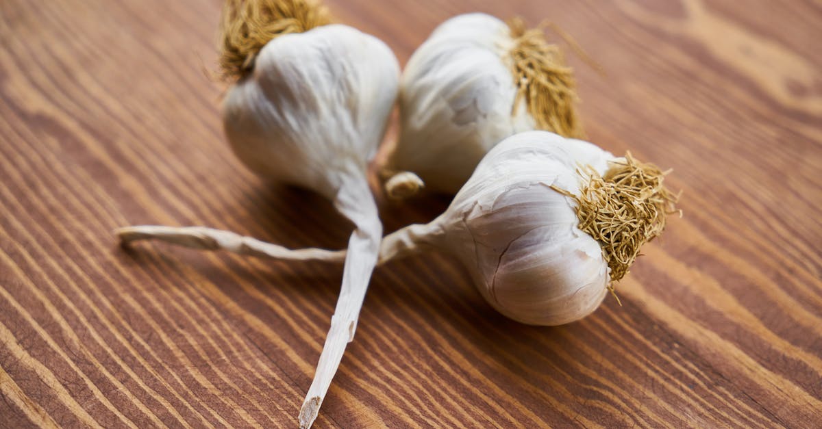 Wat zijn de voor- en nadelen van veel knoflook eten?