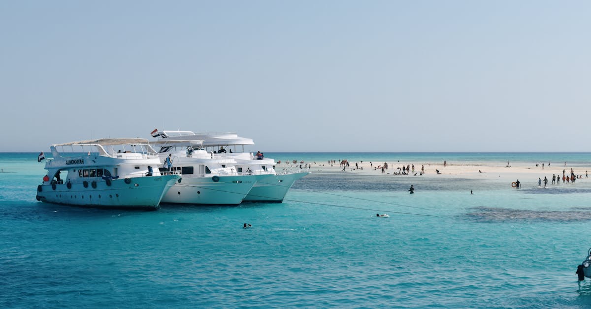 Wat zijn de voordelen van een cruisevakantie?