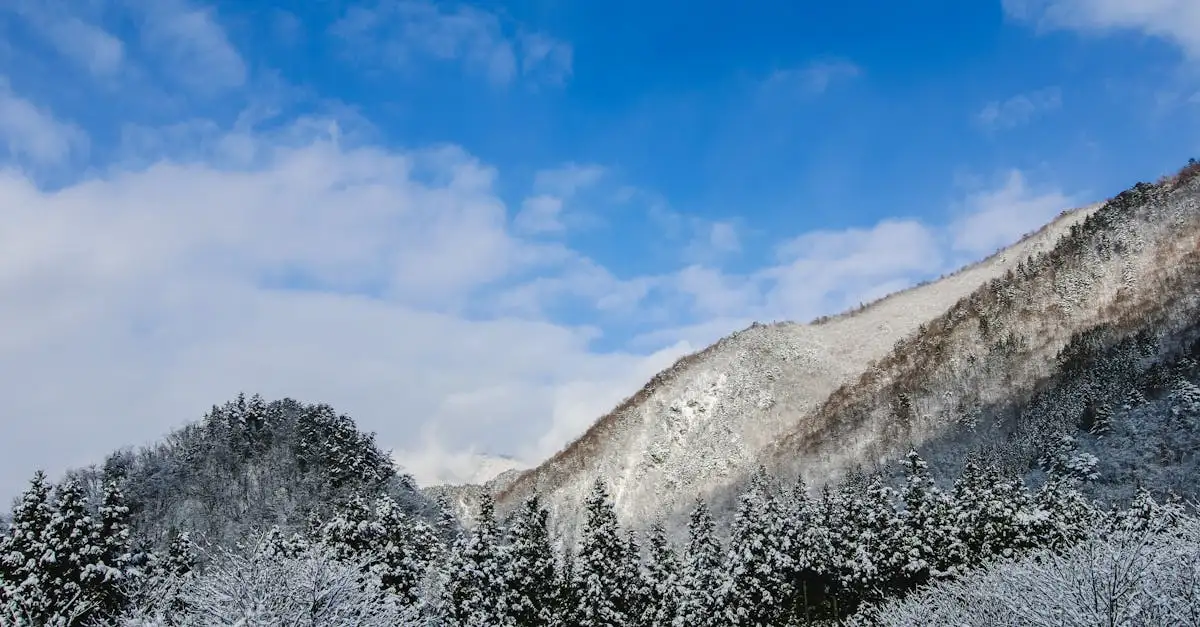 Welke bergen omvatten Mount Fuji en de Japanse Alpen?