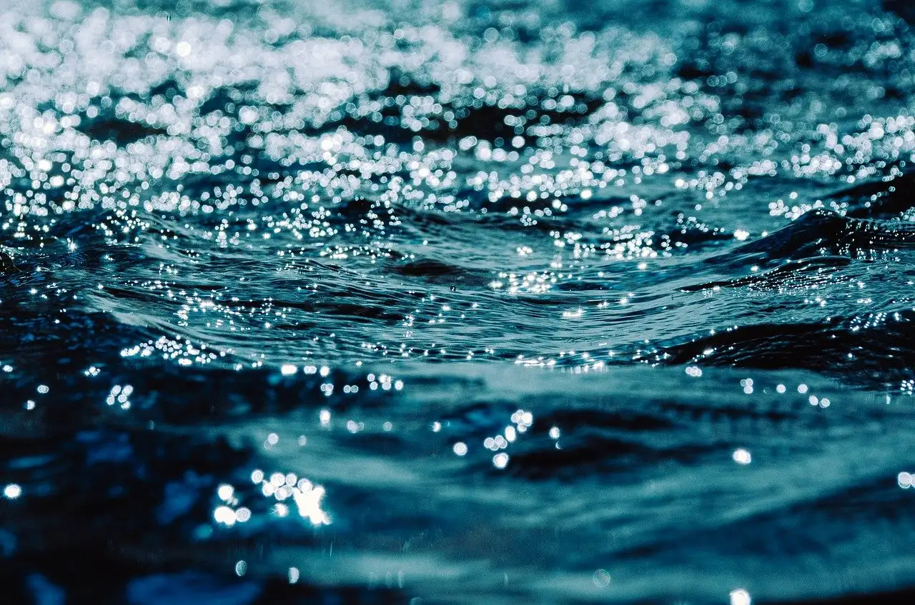 Hoe doodt een mengsel van water en afwasmiddel bladluizen?
