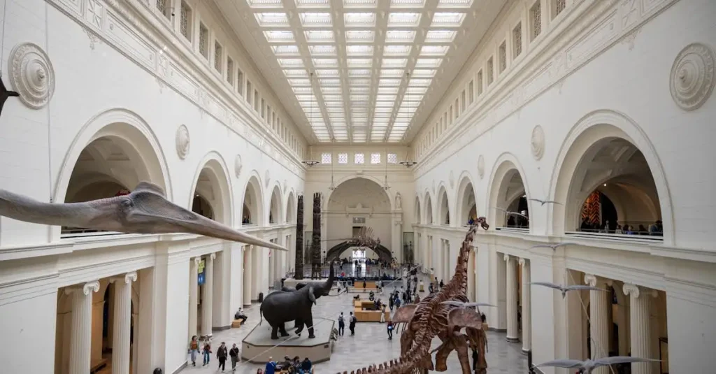 Hoe groot waren de grootste dinosaurussen zoals Argentinosaurus?