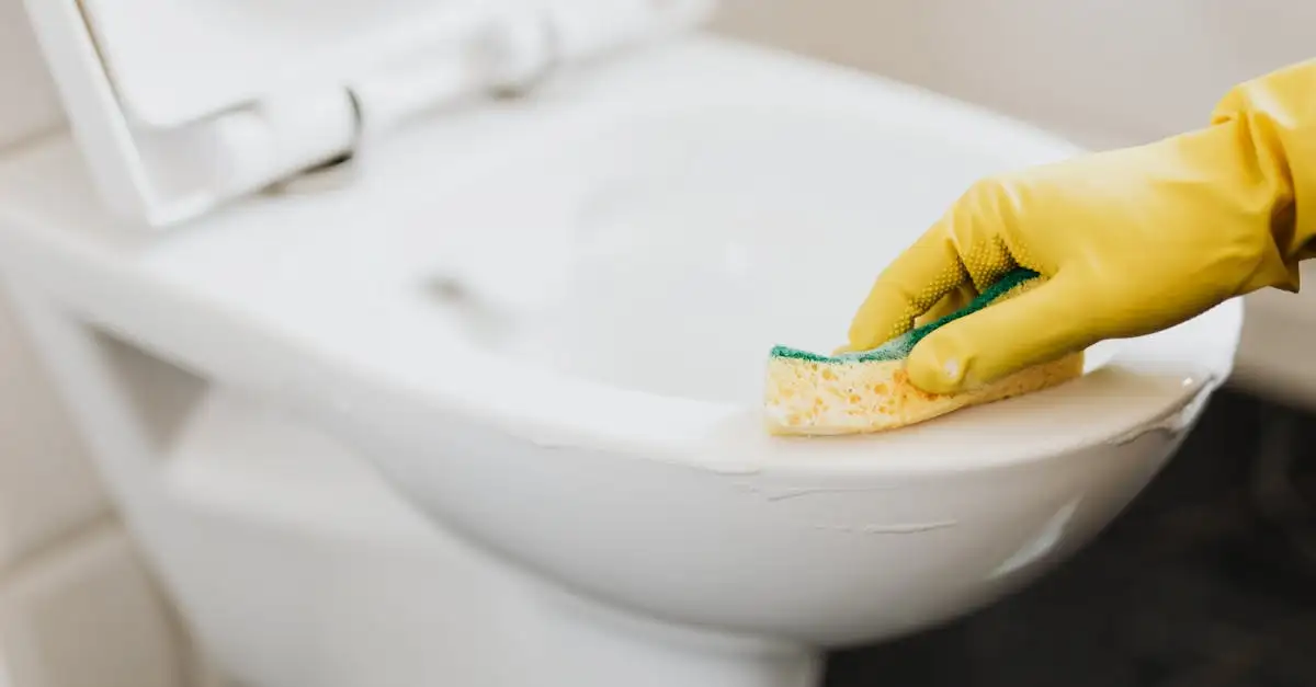 Hoe houd je het toilet fris met etherische olie?