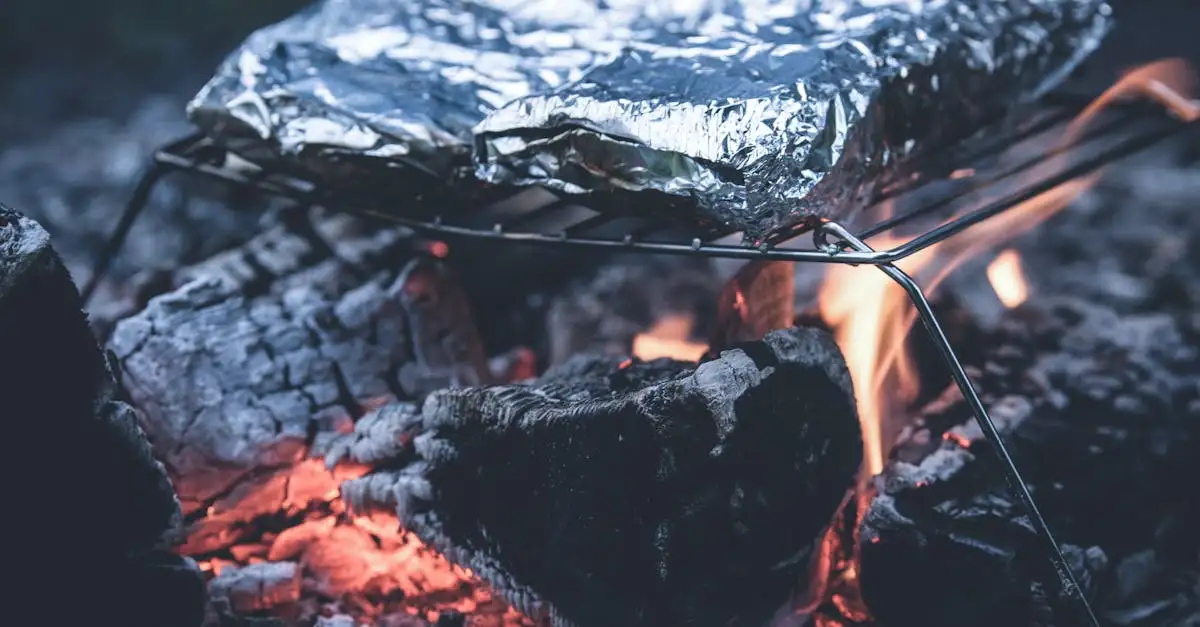 Hoe maak je eenvoudig een BBQ schoon met aluminiumfolie?