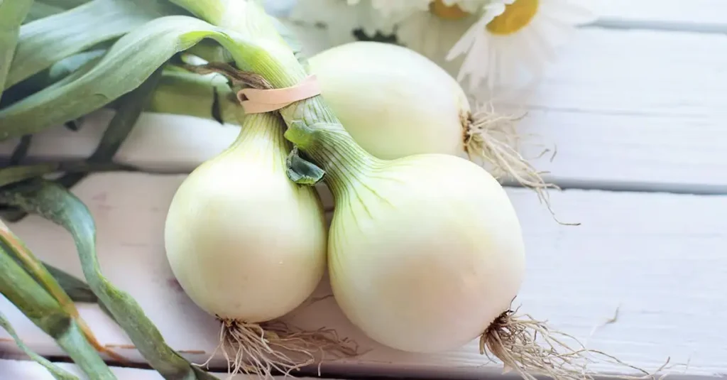 Hoe uien natuurlijk karamelliseren zonder suiker?
