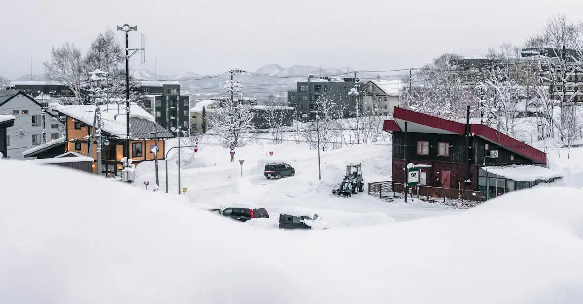 Waar te skiën in de bergen van Niseko, Japan?