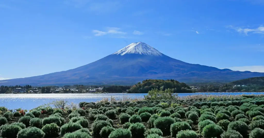 Waar vind je de vulkanen in het Pacaya Volcano National Park?