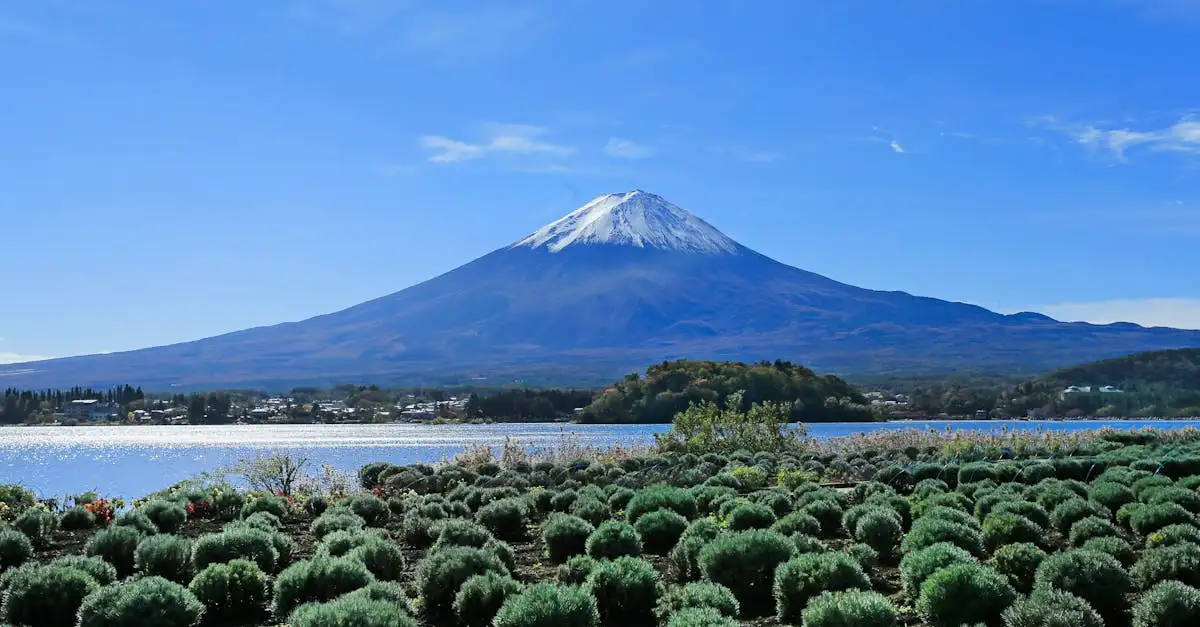 Waar vind je de vulkanen in het Pacaya Volcano National Park?