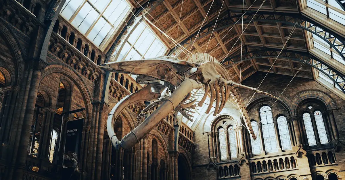 Waar vind je het Natural History Museum in Londen?