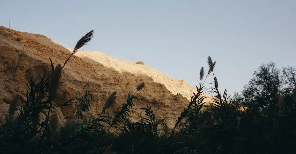 Waar vind je het unieke zoutmeer in Ein Gedi National Park?