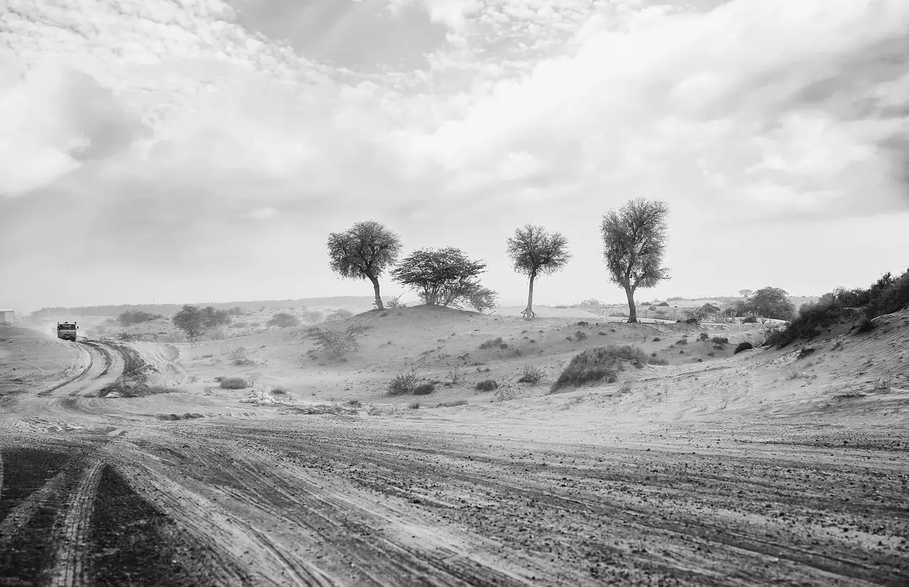Waarom was de Dust Bowl in de jaren '30 zo destructief?