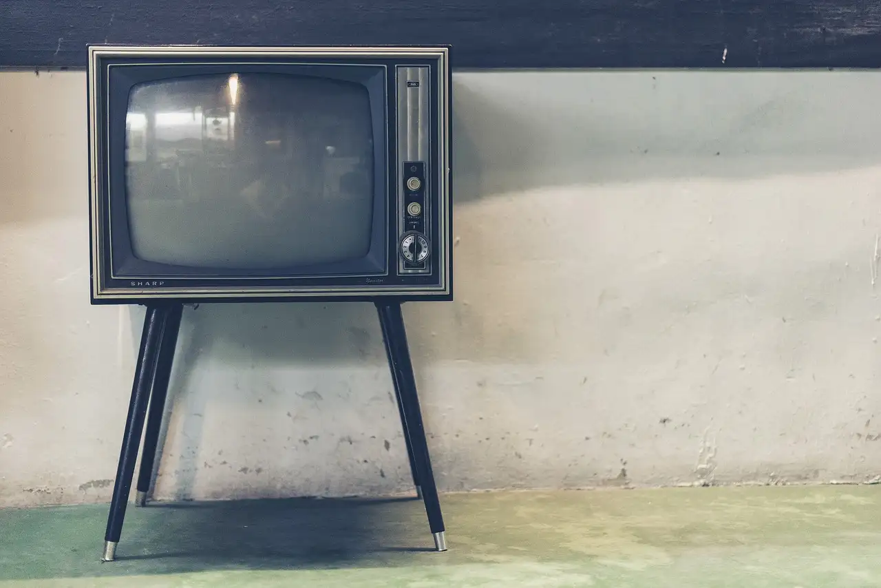 Waarom was de tv-show zo populair onder kijkers?