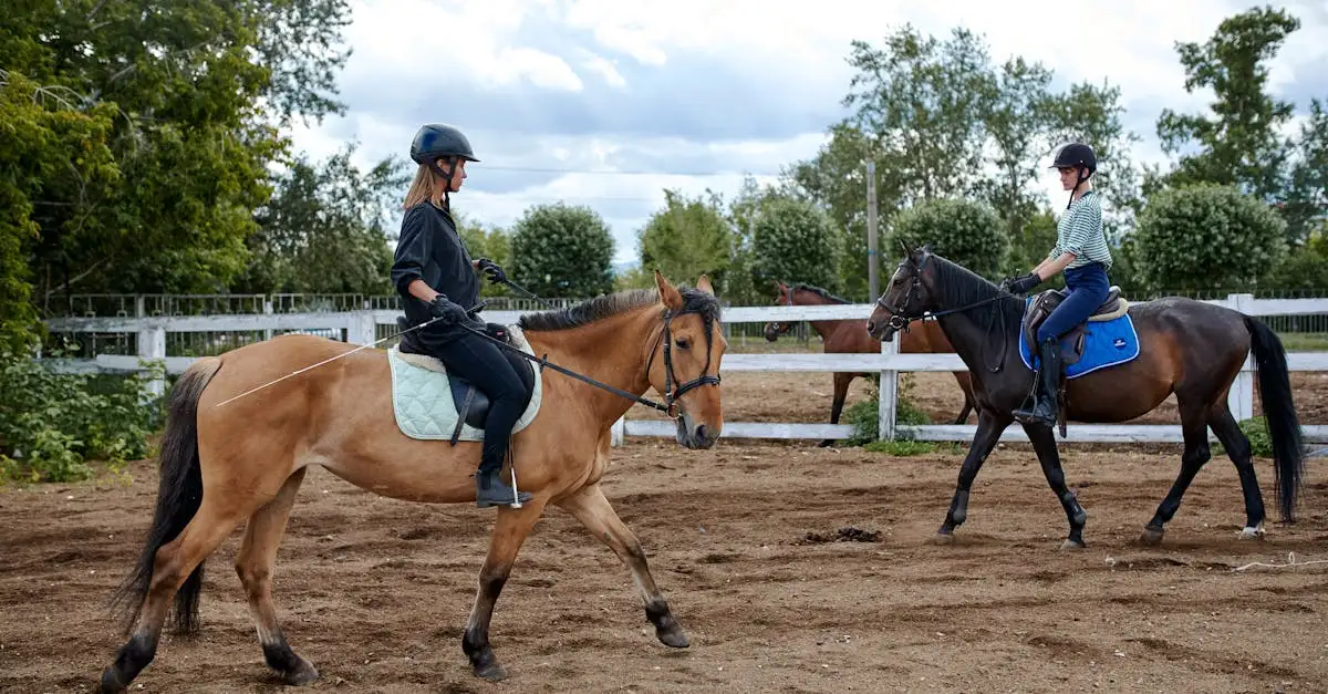 Waarom werd paardensport een Olympisch onderdeel?