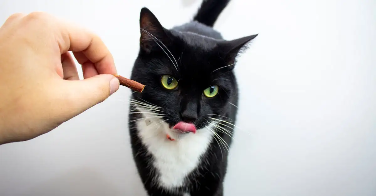 Waarom zijn katten echte obligate carnivoren?
