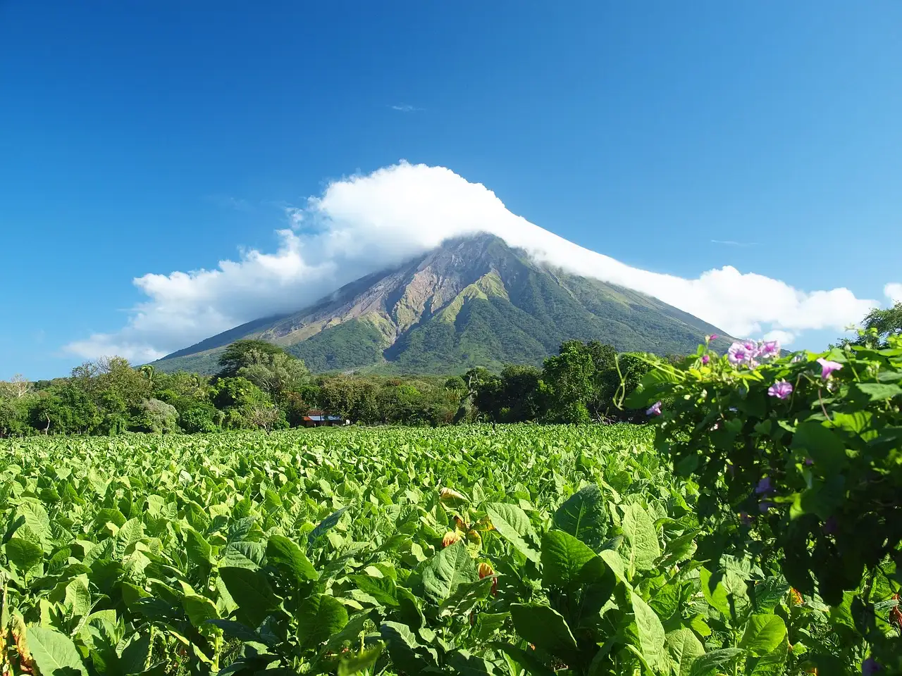 Wat is de hoofdstad van Nicaragua en waarom juist die?
