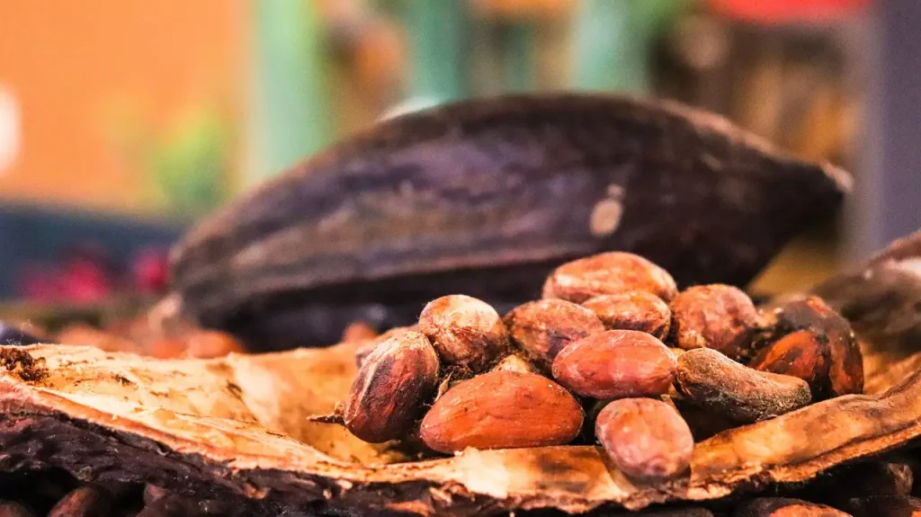 Wat is de rol van maïs en cacao in de Mexicaanse cultuur?