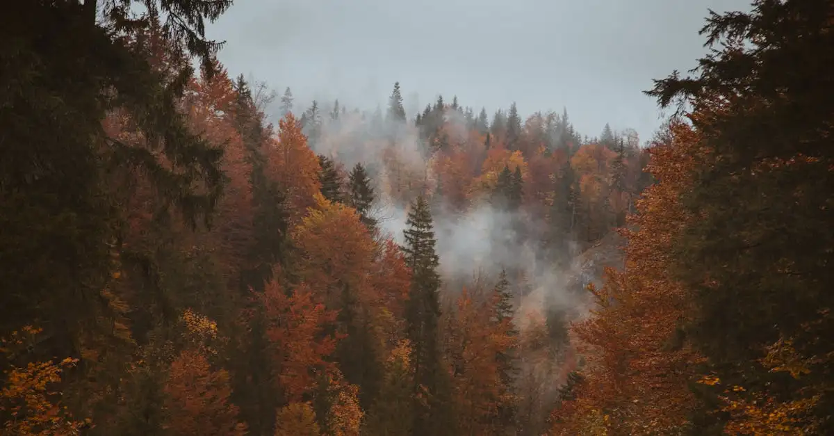 Wat is het Hohe Tauern National Park in Oostenrijk?