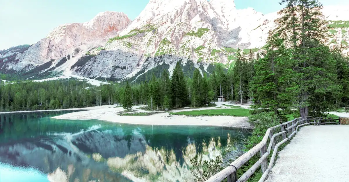 Wat is het Monti Sibillini National Park in Italië?