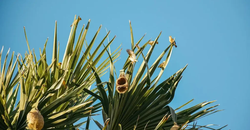 Wat maakt de nesten van wevervogels zo uniek?