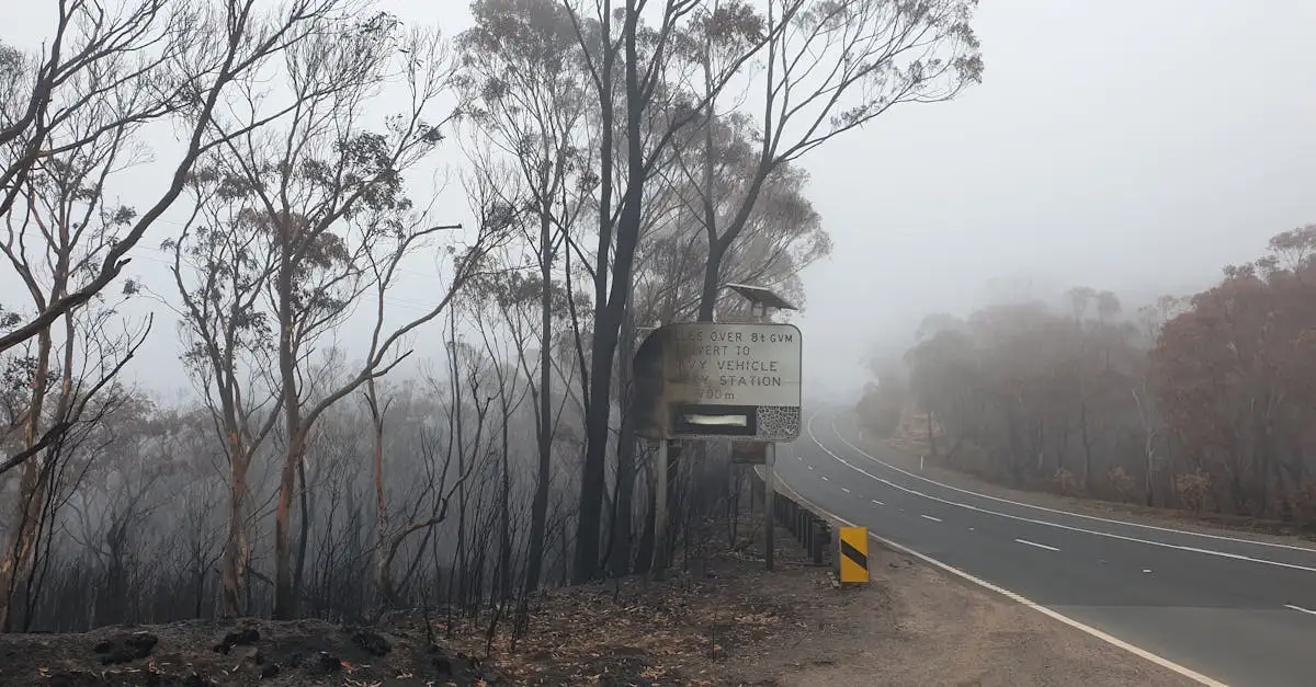 Wat veroorzaakte de bosbranden in Australië 2019-2020?