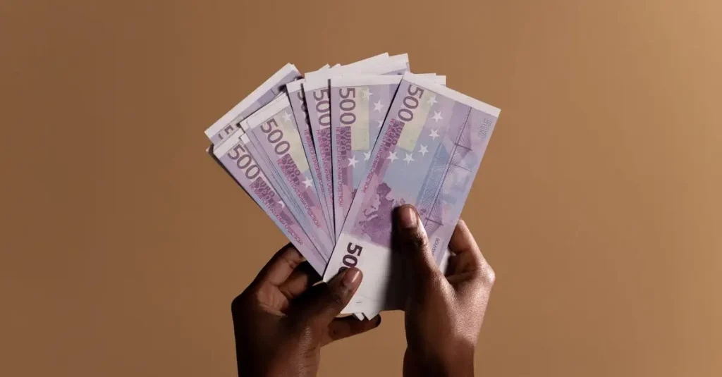 Wat was het belangrijkste doel van de euro sinds 1999?