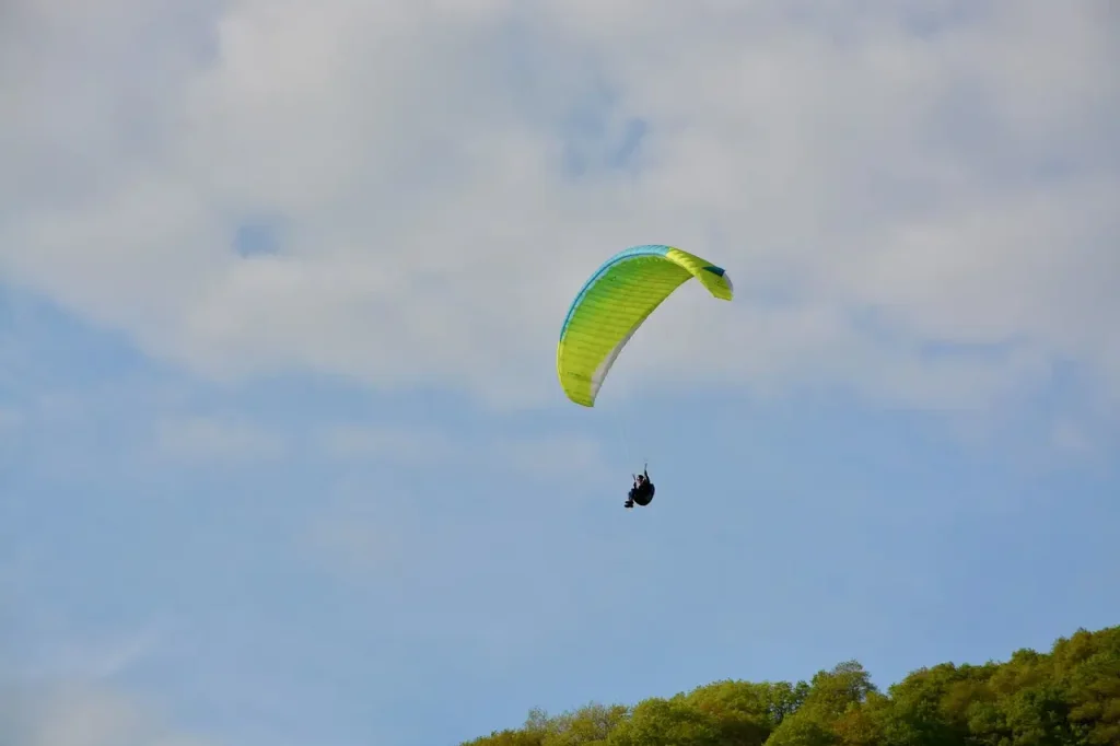 Wat zijn de leukste activiteiten en evenementen in Nieuw-Zeeland?