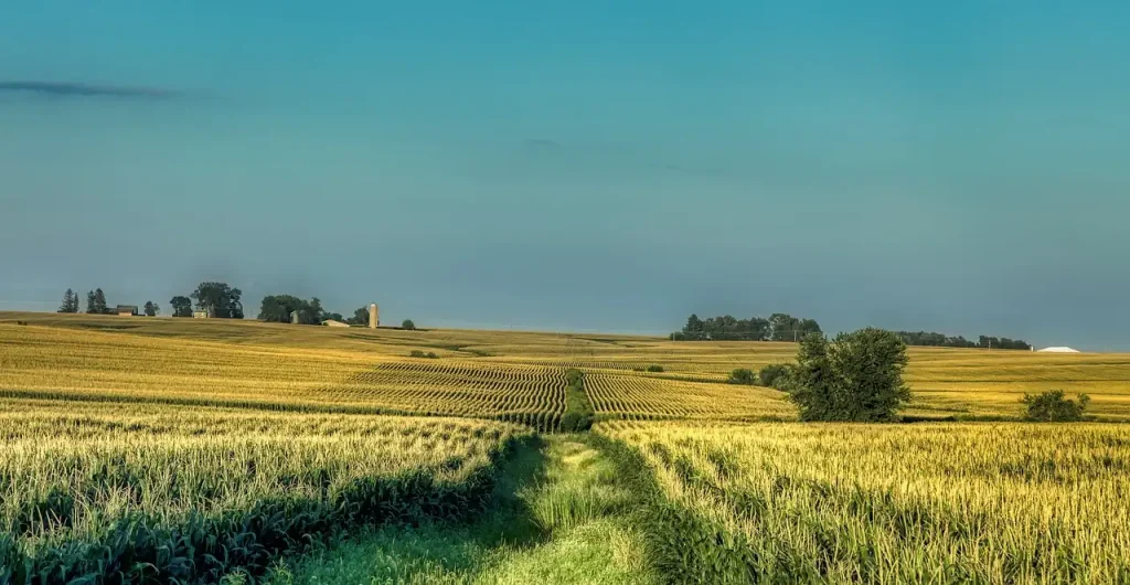 Wat zijn de top 3 bezienswaardigheden in Iowa?