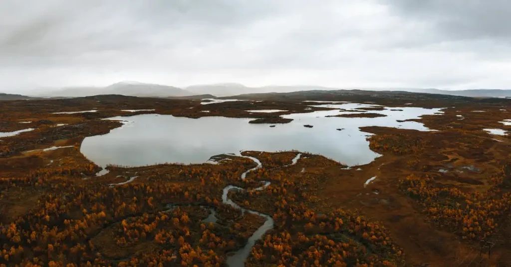 Welke ecosystemen bestaan er in Lake Uvs, Mongolië en Rusland?
