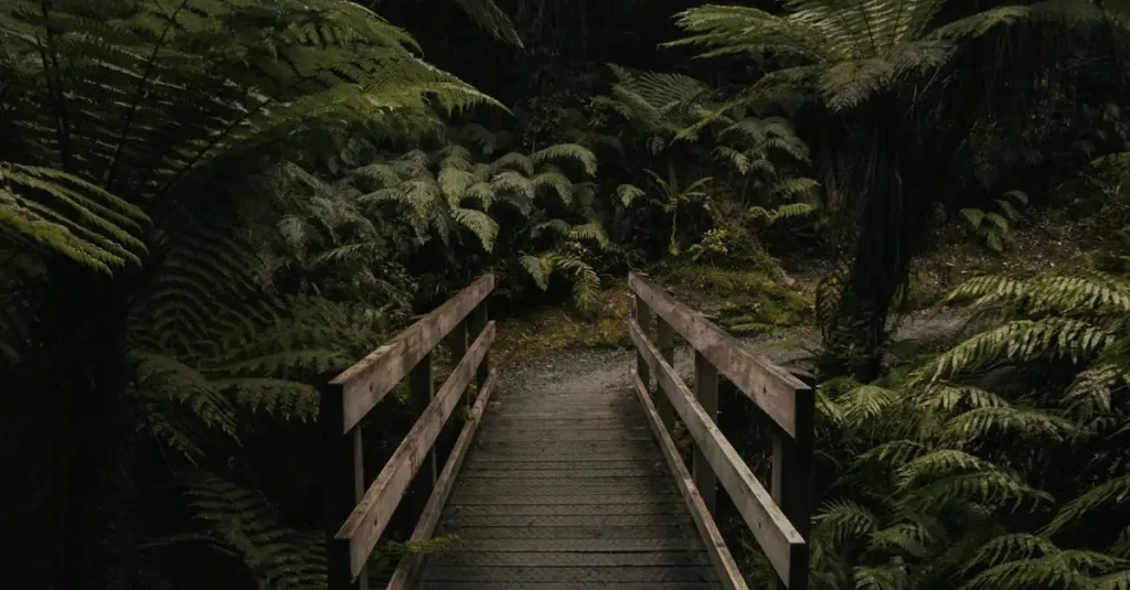 Welke regio in Australië beschermt unieke planten?