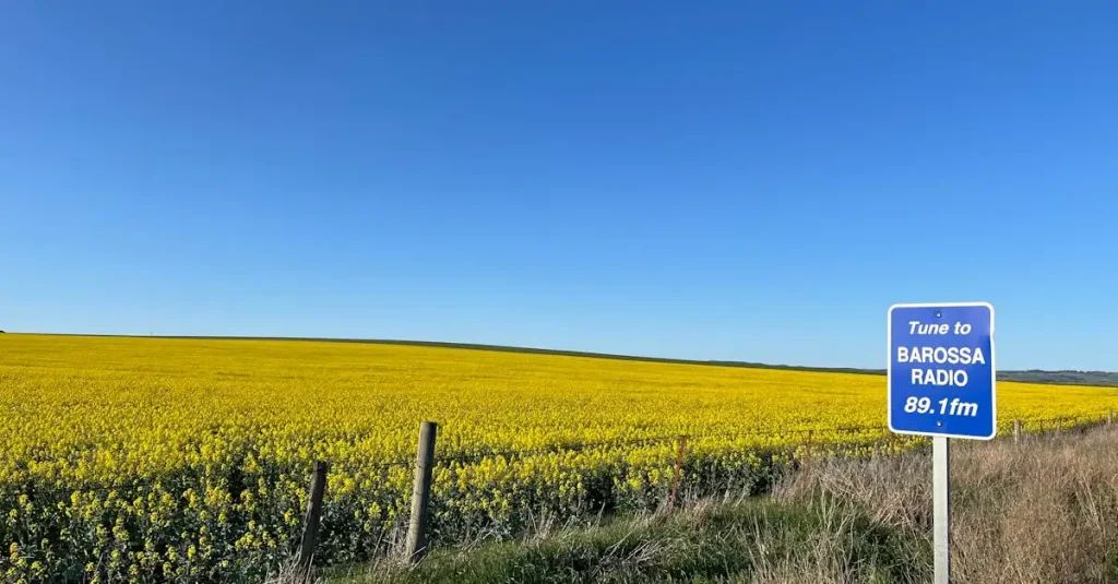 Welke regio in Australië staat bekend om zijn wijn: Barossa Valley?