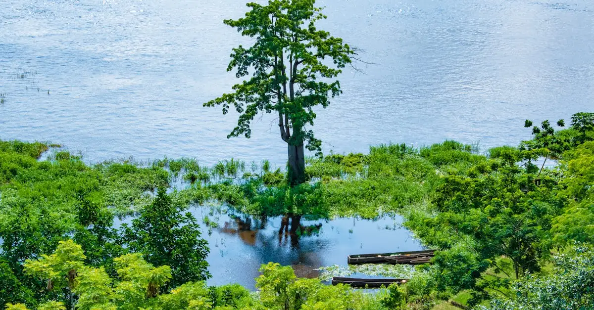 Welke rivier stroomt door Congo en Gabon?