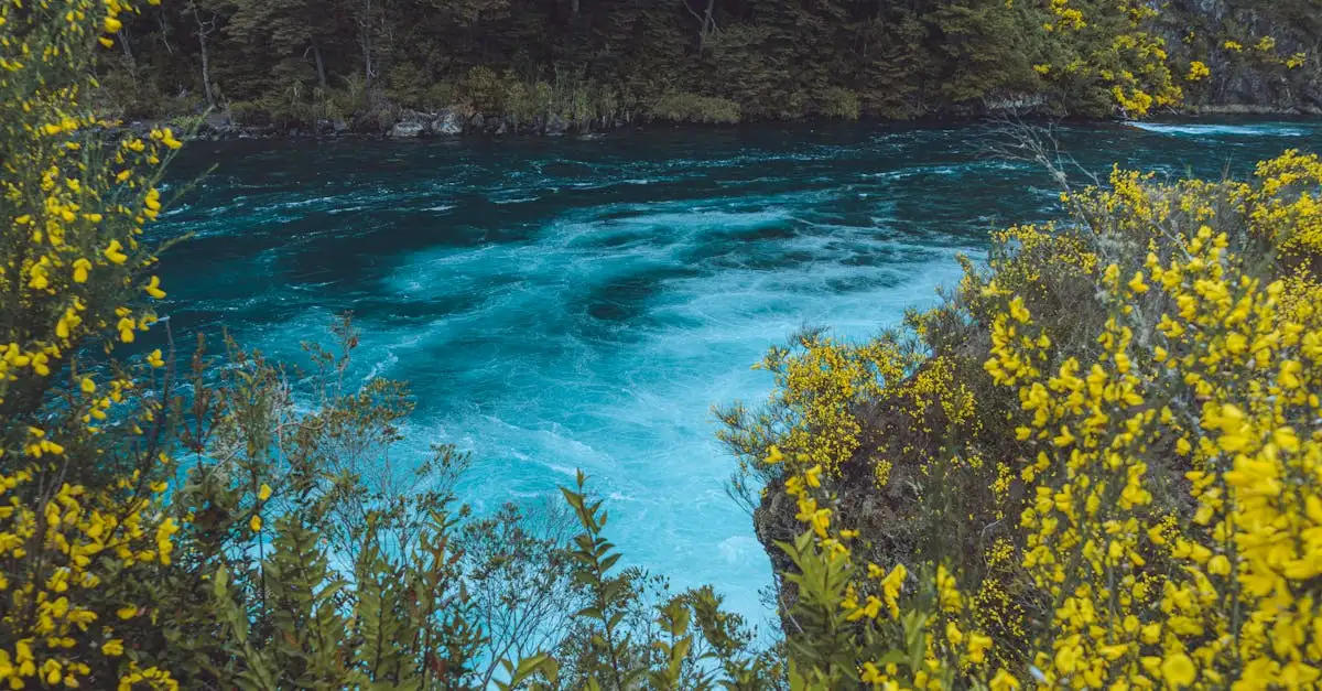 Welke rivier voedt het Titicacameer, de Desaguadero?
