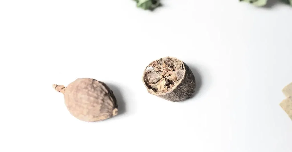 Welke specerij komt uit de bloem van de nootmuskaatboom?
