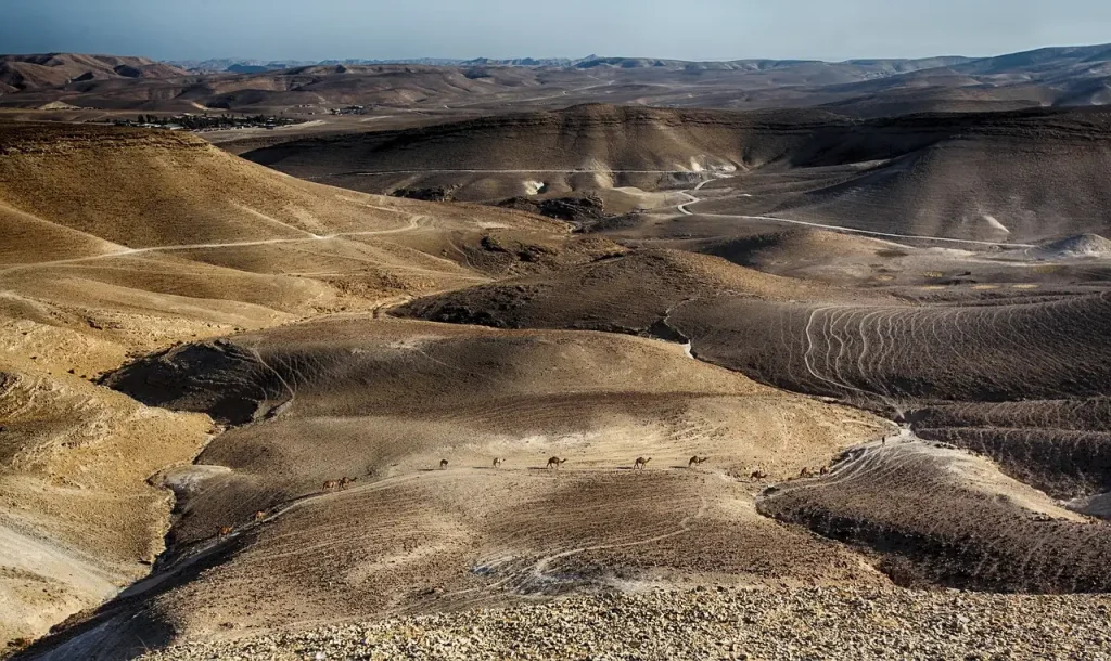 Welke stad is de Witte Stad van Israël?