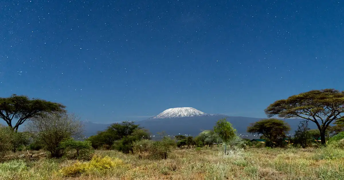Welke stad ligt aan de voet van de Kilimanjaro in Tanzania?